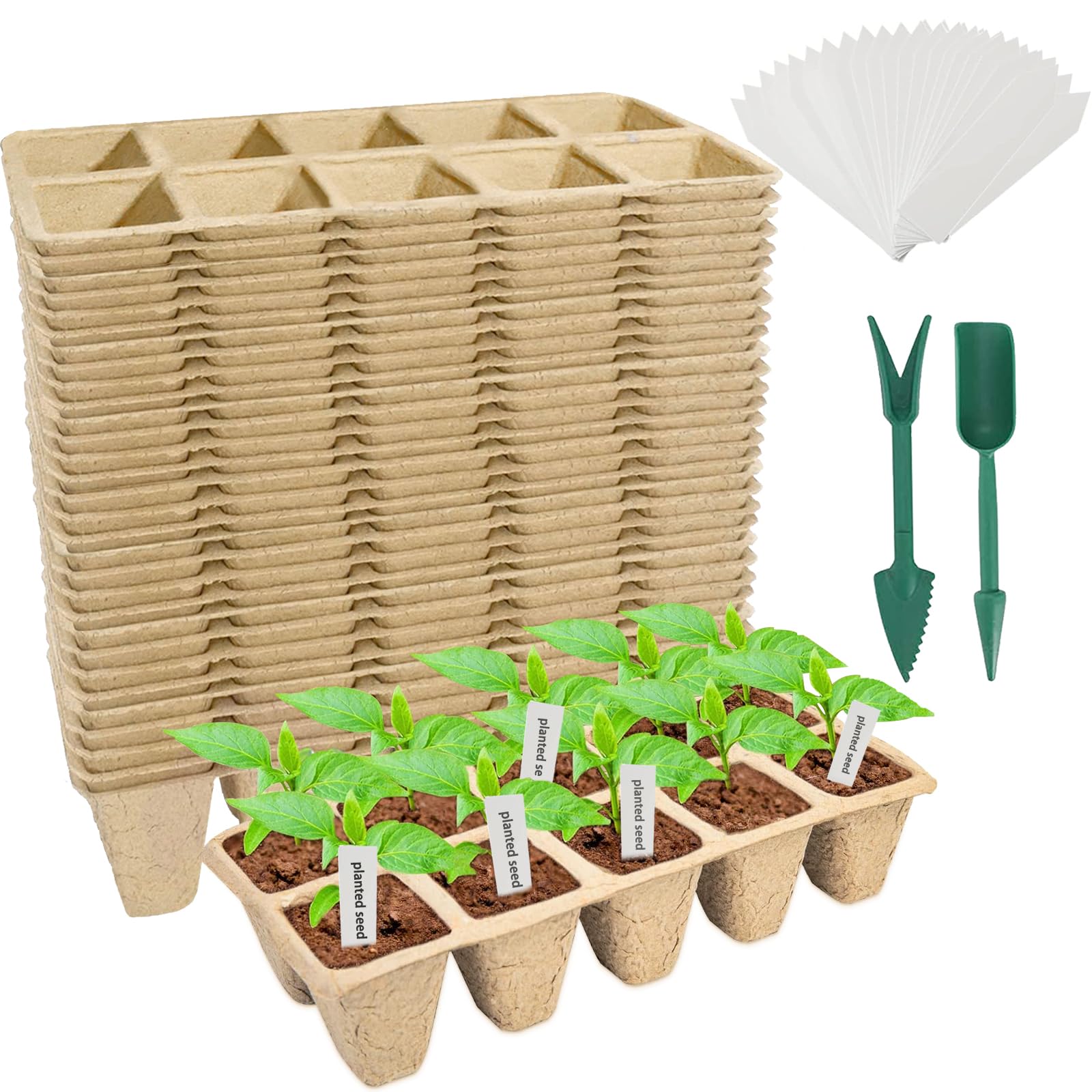 Grow Your Own Kitchen Garden: The Joy of Indoor Herb and Vegetable Kits